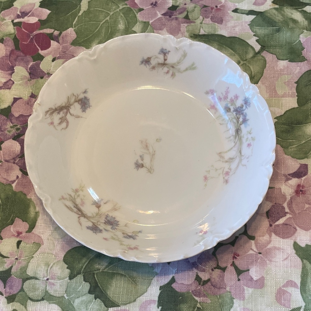 Limoges Floral Porcelain Plate